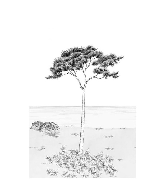 Panoramique PARFUM DE PIN L NOIR FUSAIN 200x310 - Collection WONDERWALLS 2 - CASADECO - Réf. WDWD200029104