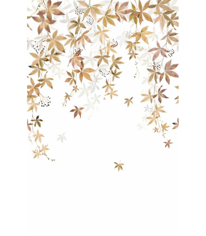 Panoramique VIGNE EN FLEUR L TABAC 200x310 - Collection WONDERWALLS 2 - CASADECO - Réf. WDWD200062304