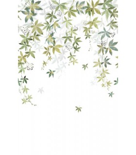 Panoramique VIGNE EN FLEUR L VERT OLIVE 200x310 - Collection WONDERWALLS 2 - CASADECO - Réf. WDWD200067204