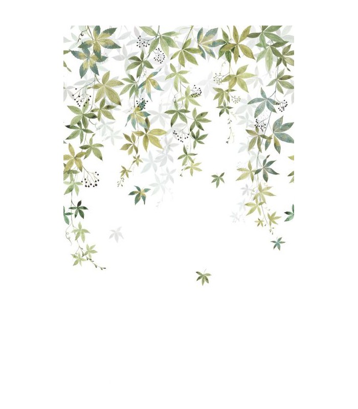 Panoramique VIGNE EN FLEUR L VERT OLIVE 200x310 - Collection WONDERWALLS 2 - CASADECO - Réf. WDWD200067204