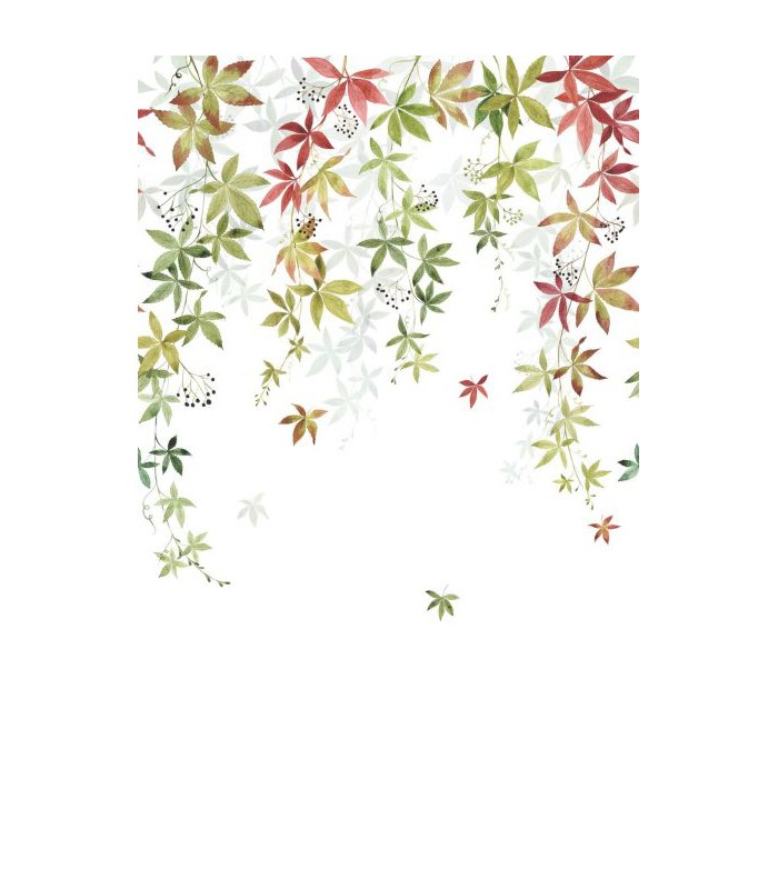 Panoramique VIGNE EN FLEUR L COULEUR D'AUTOMNE 200x310 - Collection WONDERWALLS 2 - CASADECO - Réf. WDWD200067904