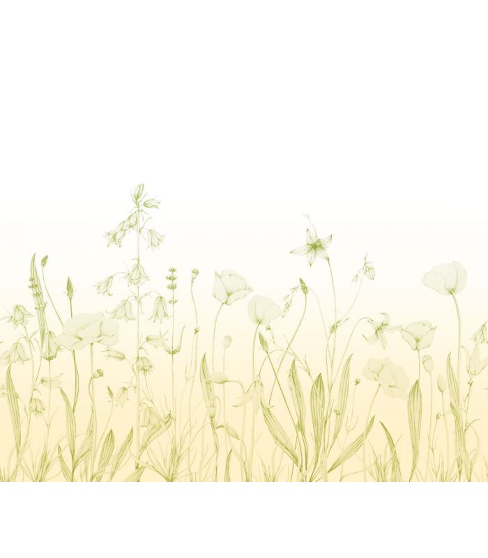 Panoramique PROMENADE BUCOLIQUE S LIME 300x250 - Collection WONDERWALLS 2 - CASADECO - Réf. WDWD200167307