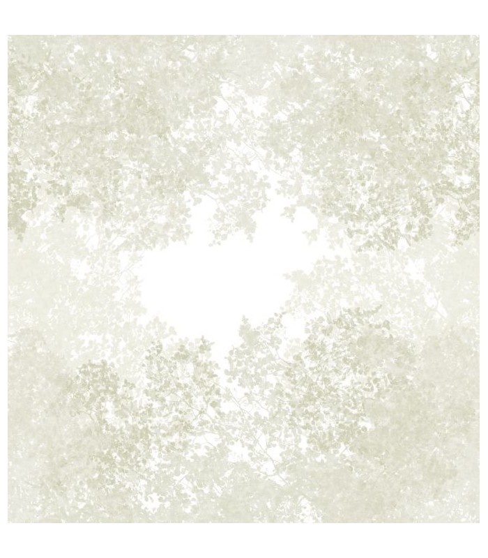 Panoramique CHEMIN DES CIMES L VERT LICHEN 300x310 - Collection WONDERWALLS 2 - CASADECO - Réf. WDWD200137209