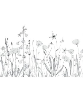 Panoramique PROMENADE BUCOLIQUE M GRIS BRUME 400x280 - Collection WONDERWALLS 2 - CASADECO - Réf. WDWD200169111