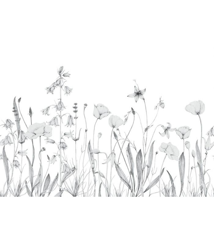 Panoramique PROMENADE BUCOLIQUE M GRIS BRUME 400x280 - Collection WONDERWALLS 2 - CASADECO - Réf. WDWD200169111