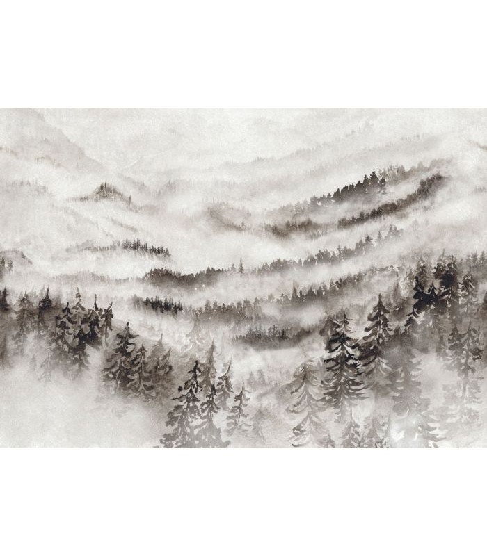 Panoramique MORNING MIST M GRIS BRUME 400x280 - Collection WONDERWALLS 2 - CASADECO - Réf. WDWD200189111