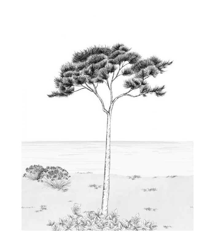 Panoramique PARFUM DE PIN S NOIR FUSAIN 200x250 - Collection WONDERWALLS 2 - CASADECO - Réf. WDWD200029105