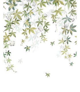 Panoramique VIGNE EN FLEUR S VERT OLIVE 200x250 - Collection WONDERWALLS 2 - CASADECO - Réf. WDWD200067205