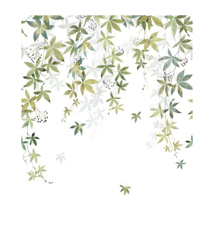 Panoramique VIGNE EN FLEUR S VERT OLIVE 200x250 - Collection WONDERWALLS 2 - CASADECO - Réf. WDWD200067205