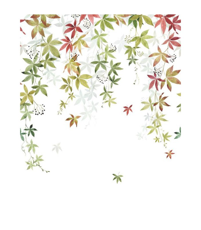 Panoramique VIGNE EN FLEUR S COULEUR D'AUTOMNE 200x250 - Collection WONDERWALLS 2 - CASADECO - Réf. WDWD200067905