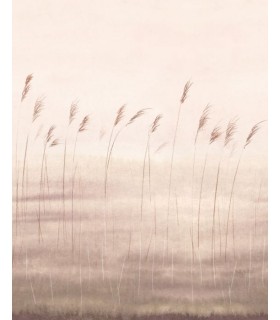 Panoramique JONC DES DUNES S NATUREL 200x250 - Collection WONDERWALLS 2 - CASADECO - Réf. WDWD200081505