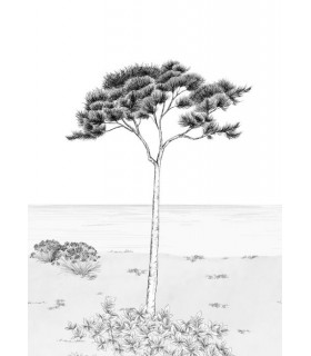 Panoramique PARFUM DE PIN M NOIR FUSAIN 200x280 - Collection WONDERWALLS 2 - CASADECO - Réf. WDWD200029103