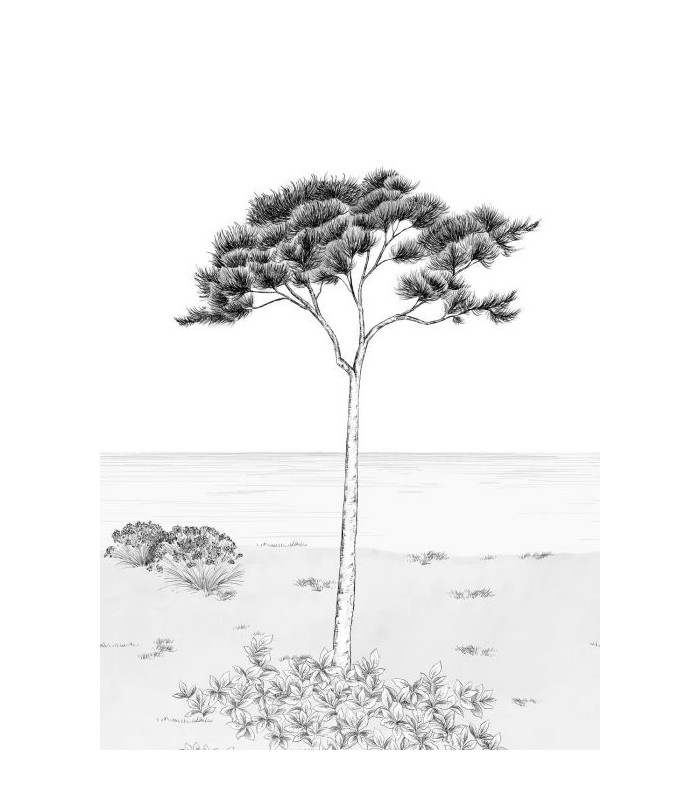 Panoramique PARFUM DE PIN M NOIR FUSAIN 200x280 - Collection WONDERWALLS 2 - CASADECO - Réf. WDWD200029103