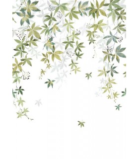 Panoramique VIGNE EN FLEUR M VERT OLIVE 200x280 - Collection WONDERWALLS 2 - CASADECO - Réf. WDWD200067203