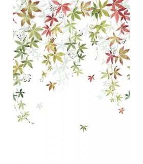 Panoramique VIGNE EN FLEUR M COULEUR D'AUTOMNE 200x280 - Collection WONDERWALLS 2 - CASADECO - Réf. WDWD200067903