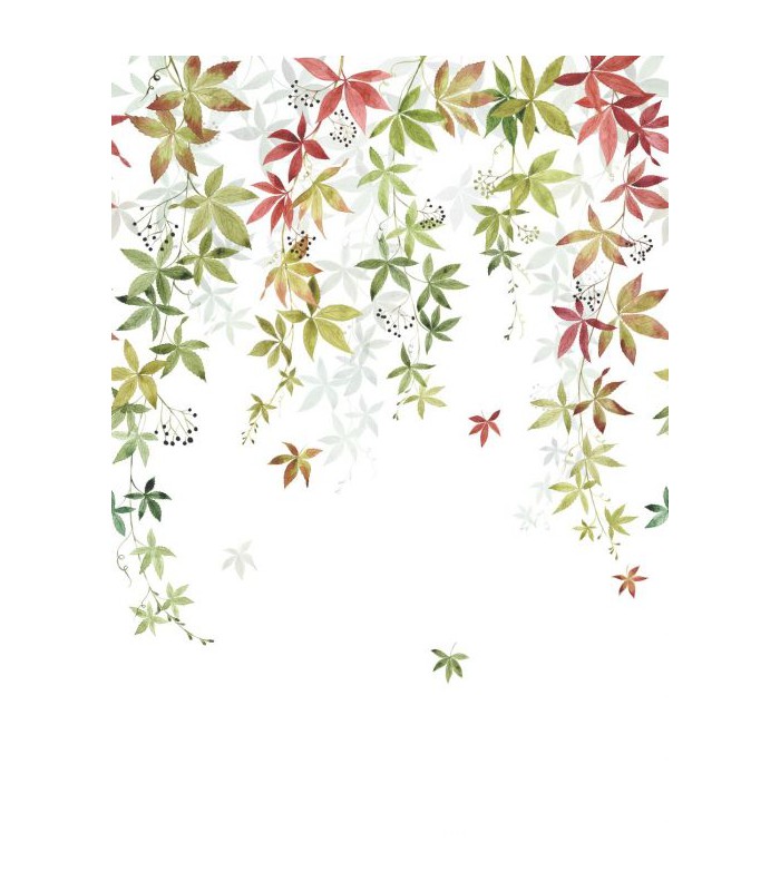 Panoramique VIGNE EN FLEUR M COULEUR D'AUTOMNE 200x280 - Collection WONDERWALLS 2 - CASADECO - Réf. WDWD200067903