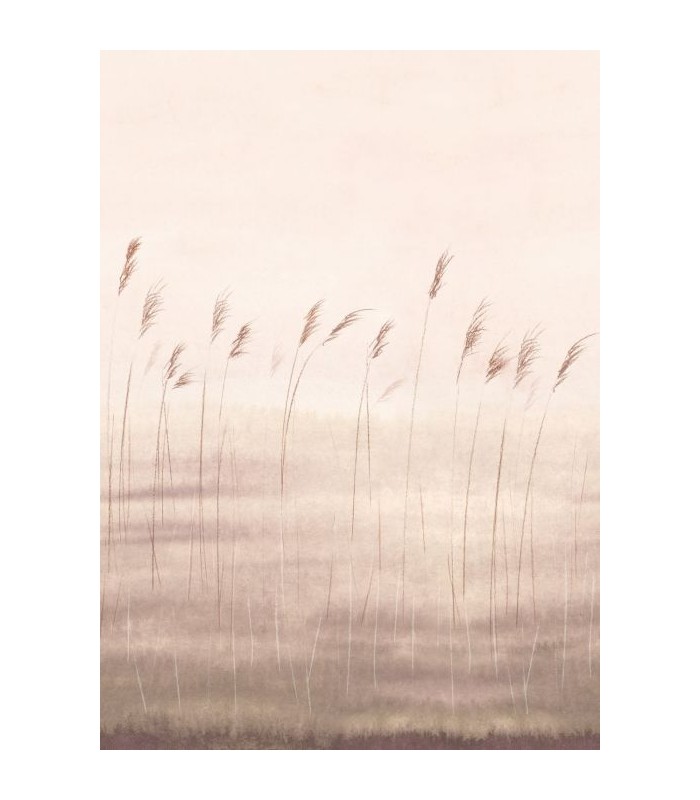 Panoramique JONC DES DUNES M NATUREL 200x280 - Collection WONDERWALLS 2 - CASADECO - Réf. WDWD200081503