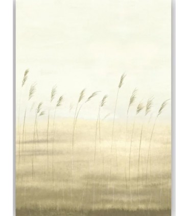 SENTIERS DES DUNES - CASADECO