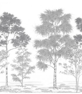 Panoramique POESIE PRINTANIERE NOIR 250x250 - Collection BALADE - CASELIO - Réf. BLD106169006