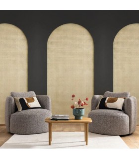 Panoramique CANEWORK ARCH NOIR S 159X250 - Collection RELIEFS - CASELIO - Réf. RLF106209034