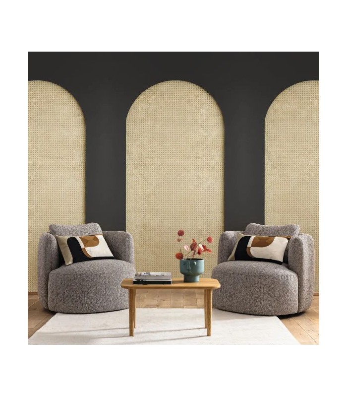 Panoramique CANEWORK ARCH NOIR L 159X310 - Collection RELIEFS - CASELIO - Réf. RLF106209036