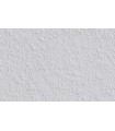 Toile de rénovation Eco Green lisse 160 g/m² – 25 m x 1,06 m