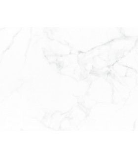 Dalle de revêtement mural PVC AMPARA  65 cm x 37,5 cm