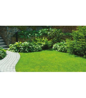Gazon synthétique - 22mm - Saint Tropez - Rouleau 1m x 3m