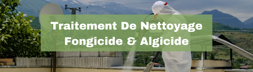 Sikagard 127 Stop Tout En 1 - Traitement Algicide & Fongicide SIKA | 20L | Pour Extérieur Professionnel