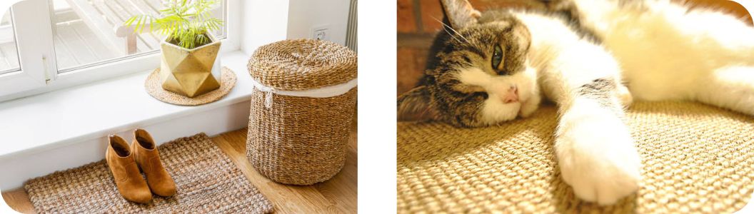 sol naturel en jonc de mer et en sisal