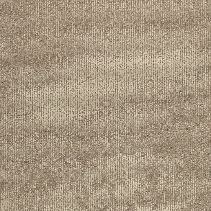 Balsan Dalles de Moquette Plombantes et Amovibles Borneo