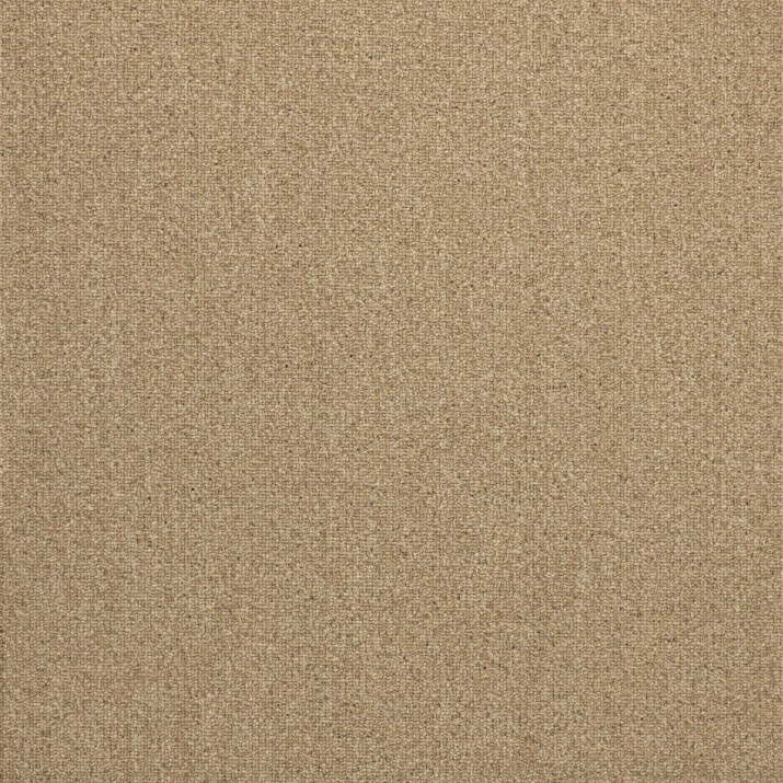 Balsan Dalles de Moquette Plombantes et amovibles